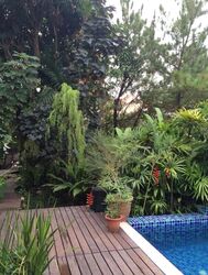 Thomson Rise Estate (D20), Semi-Detached #511262481